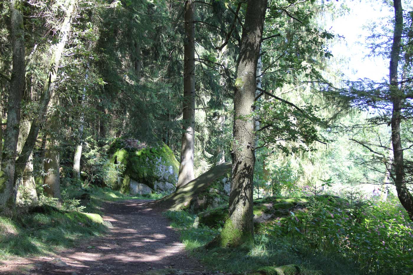 Markt Falkenberg in der Oberpfalz